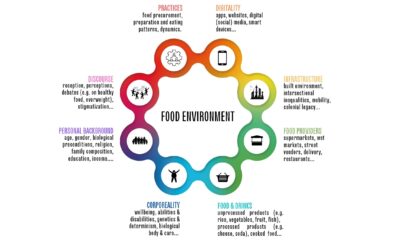 What are Food environments, and how do they get characterized?