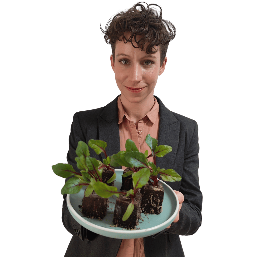 MMH_transp_Food_2_elegant Woman in a suit holding a plate with seedlings of beetroots with green and red leaves